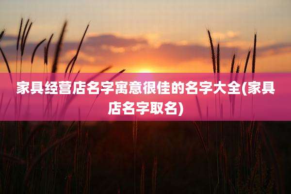 家具经营店名字寓意很佳的名字大全(家具店名字取名)