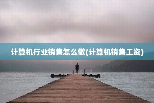 计算机行业销售怎么做(计算机销售工资)
