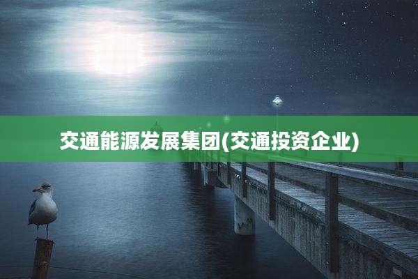 交通能源发展集团(交通投资企业)