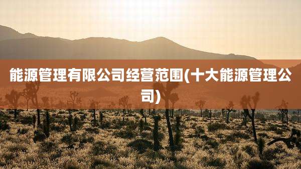 能源管理有限公司经营范围(十大能源管理公司)