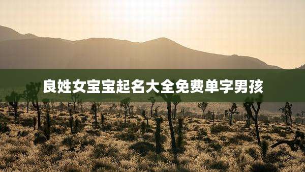 良姓女宝宝起名大全免费单字男孩