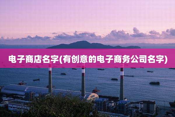 电子商店名字(有创意的电子商务公司名字)