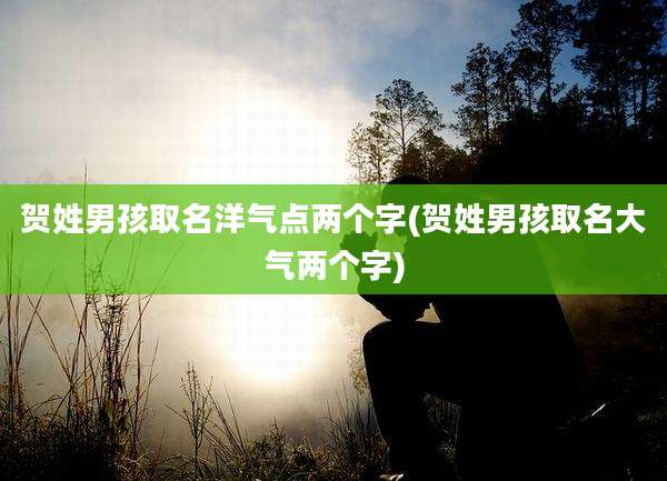 贺姓男孩取名洋气点两个字(贺姓男孩取名大气两个字)