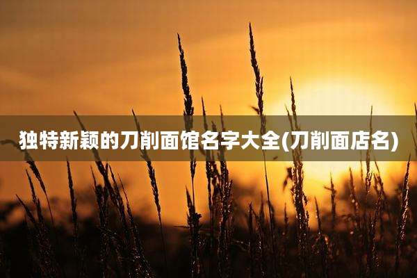 独特新颖的刀削面馆名字大全(刀削面店名)