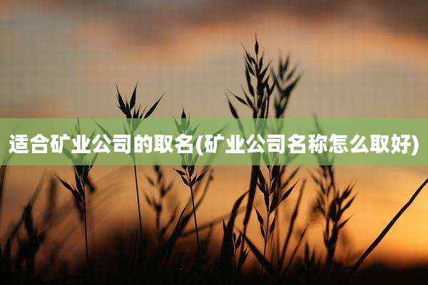 适合矿业公司的取名(矿业公司名称怎么取好)