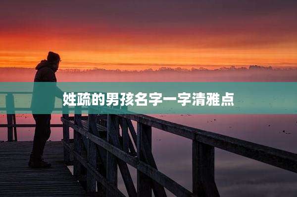 姓疏的男孩名字一字清雅点