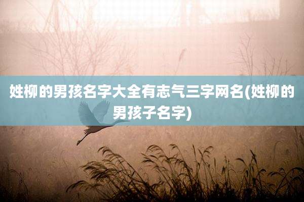 姓柳的男孩名字大全有志气三字网名(姓柳的男孩子名字)