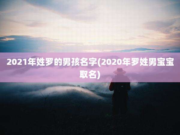 2021年姓罗的男孩名字(2020年罗姓男宝宝取名)