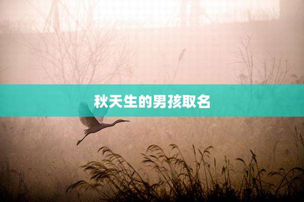 秋天生的男孩取名