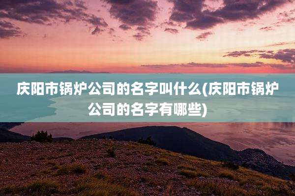 庆阳市锅炉公司的名字叫什么(庆阳市锅炉公司的名字有哪些)