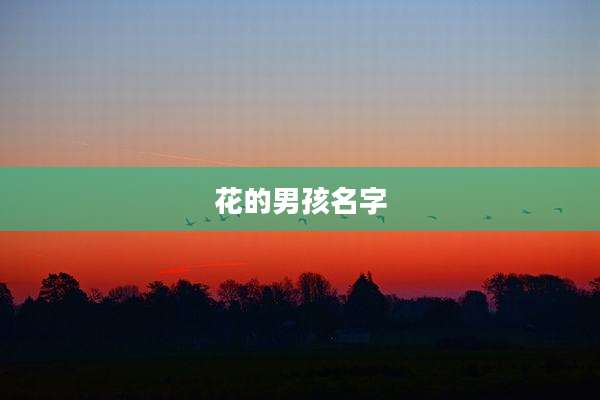 花的男孩名字