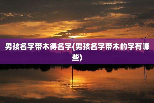 男孩名字带木得名字(男孩名字带木的字有哪些)