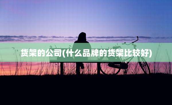 货架的公司(什么品牌的货架比较好)