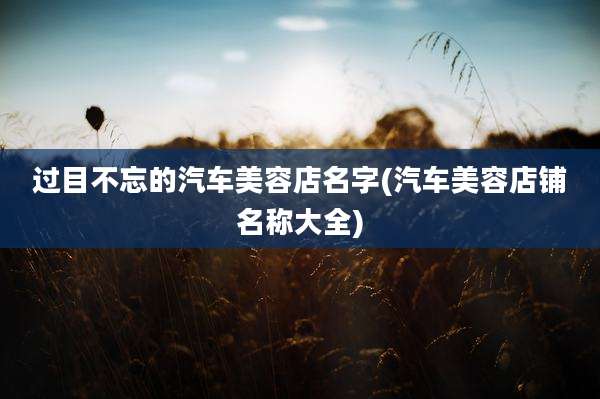 过目不忘的汽车美容店名字(汽车美容店铺名称大全)