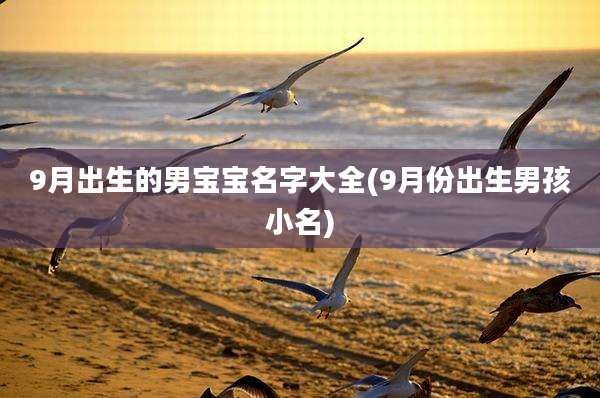 9月出生的男宝宝名字大全(9月份出生男孩小名)