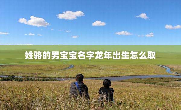 姓骆的男宝宝名字龙年出生怎么取