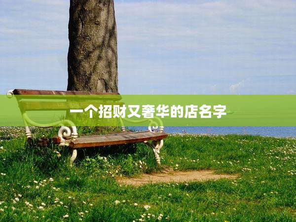一个招财又奢华的店名字