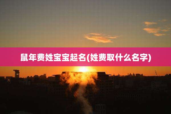 鼠年费姓宝宝起名(姓费取什么名字)