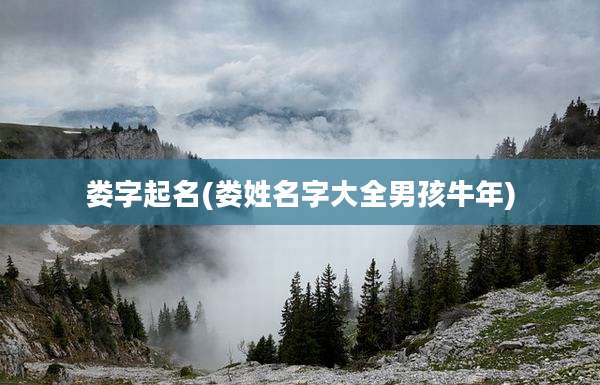 娄字起名(娄姓名字大全男孩牛年)