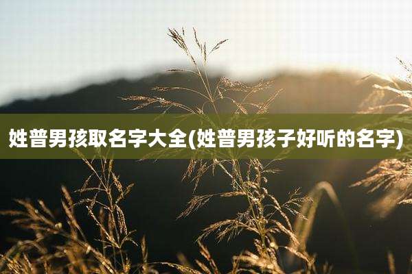 姓普男孩取名字大全(姓普男孩子好听的名字)