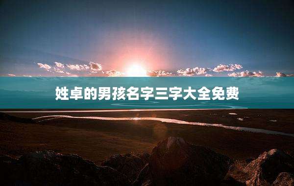 姓卓的男孩名字三字大全免费