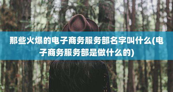 那些火爆的电子商务服务部名字叫什么(电子商务服务部是做什么的)