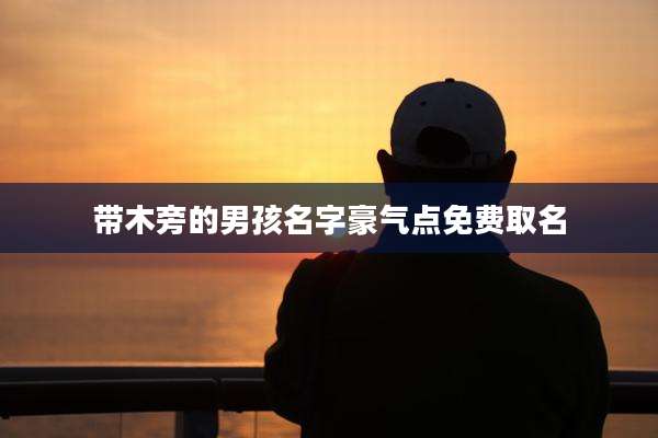 带木旁的男孩名字豪气点免费取名