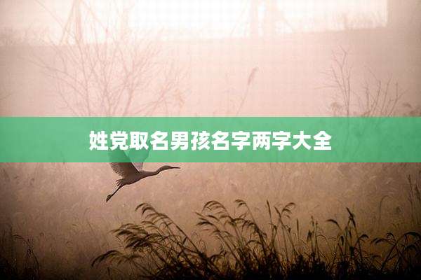 姓党取名男孩名字两字大全