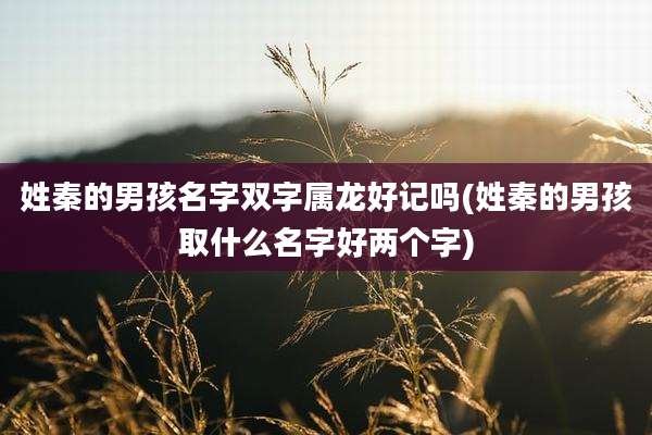 姓秦的男孩名字双字属龙好记吗(姓秦的男孩取什么名字好两个字)