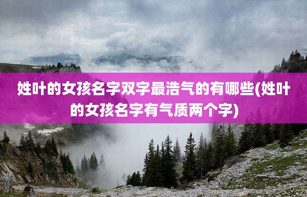 姓叶的女孩名字双字最浩气的有哪些(姓叶的女孩名字有气质两个字)