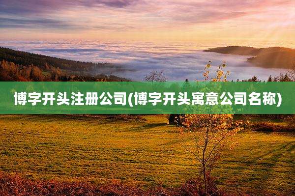 博字开头注册公司(博字开头寓意公司名称)
