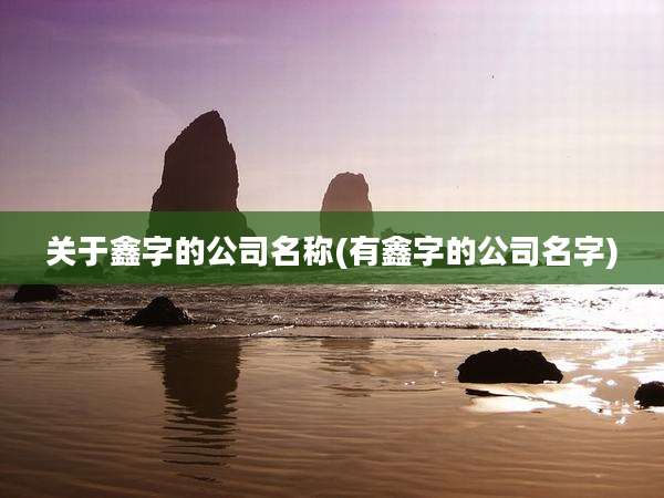 关于鑫字的公司名称(有鑫字的公司名字)