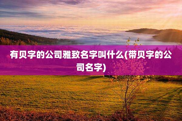 有贝字的公司雅致名字叫什么(带贝字的公司名字)