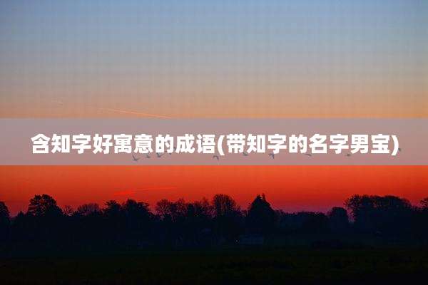 含知字好寓意的成语(带知字的名字男宝)