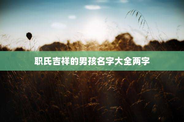 职氏吉祥的男孩名字大全两字