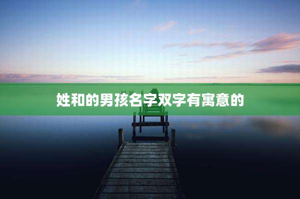 姓和的男孩名字双字有寓意的