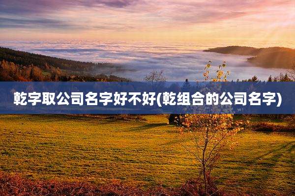 乾字取公司名字好不好(乾组合的公司名字)