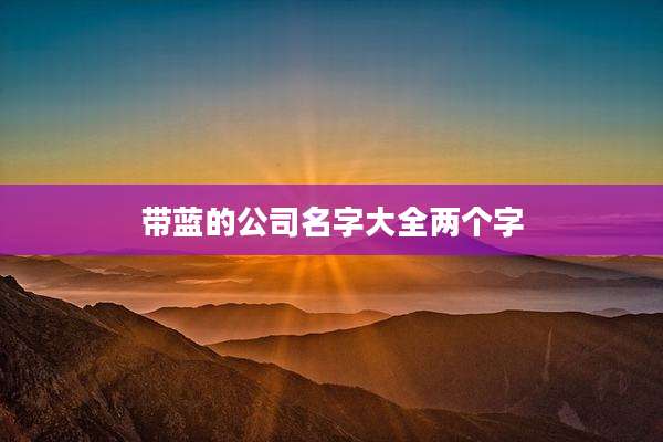 带蓝的公司名字大全两个字