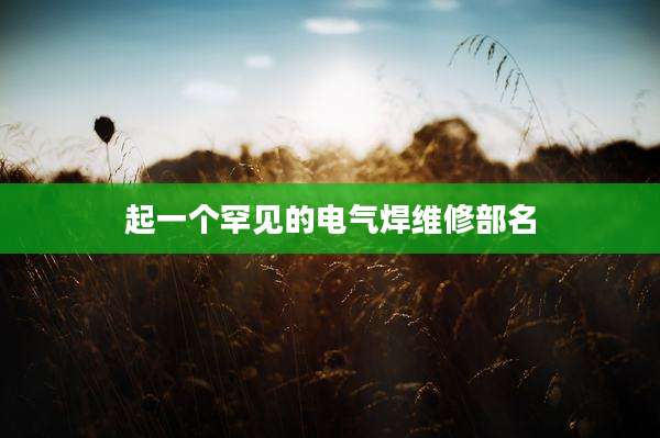 起一个罕见的电气焊维修部名