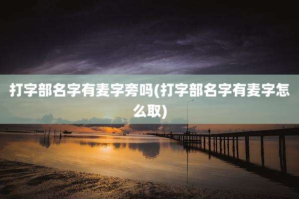 打字部名字有麦字旁吗(打字部名字有麦字怎么取)