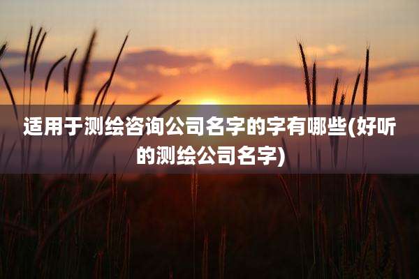 适用于测绘咨询公司名字的字有哪些(好听的测绘公司名字)