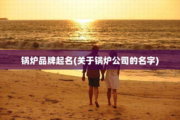 锅炉品牌起名(关于锅炉公司的名字)