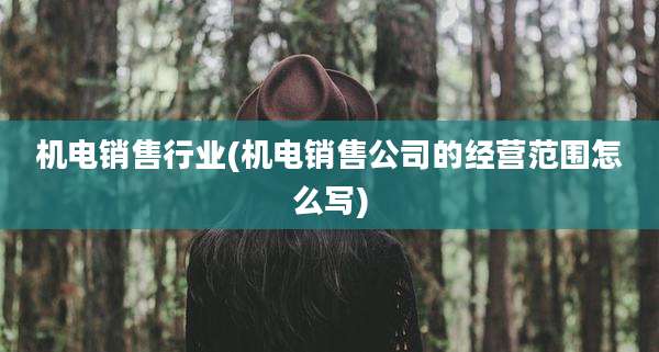 机电销售行业(机电销售公司的经营范围怎么写)