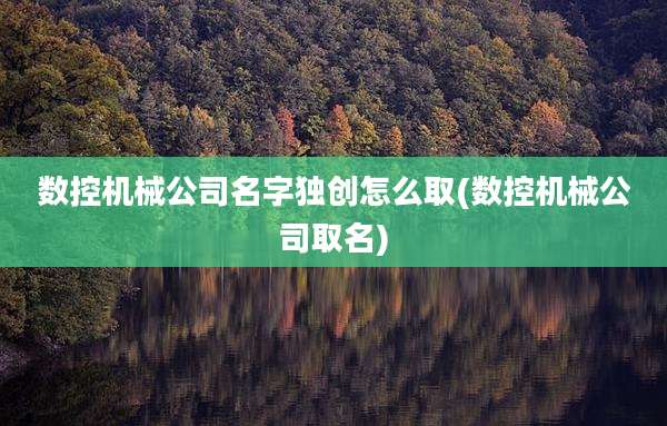 数控机械公司名字独创怎么取(数控机械公司取名)