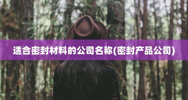 适合密封材料的公司名称(密封产品公司)