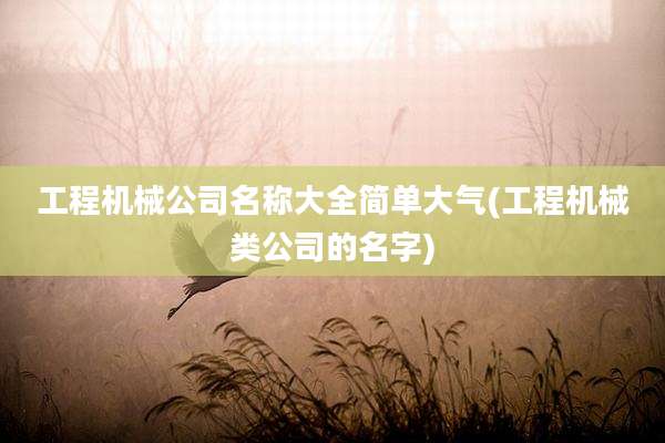 工程机械公司名称大全简单大气(工程机械类公司的名字)