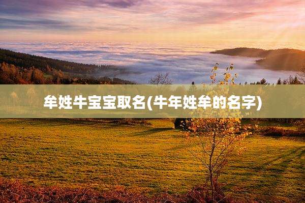 牟姓牛宝宝取名(牛年姓牟的名字)