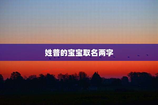 姓普的宝宝取名两字