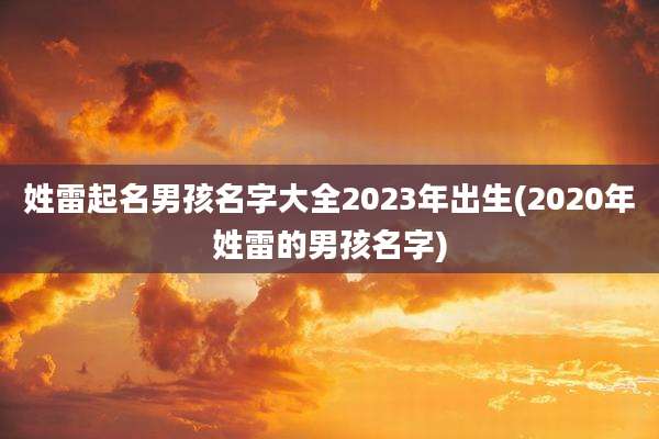姓雷起名男孩名字大全2023年出生(2020年姓雷的男孩名字)