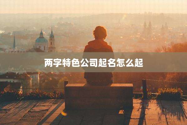 两字特色公司起名怎么起